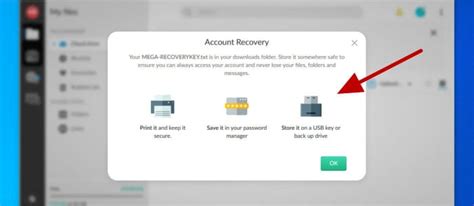 mega.nz recovery key|MEGA adds Two.